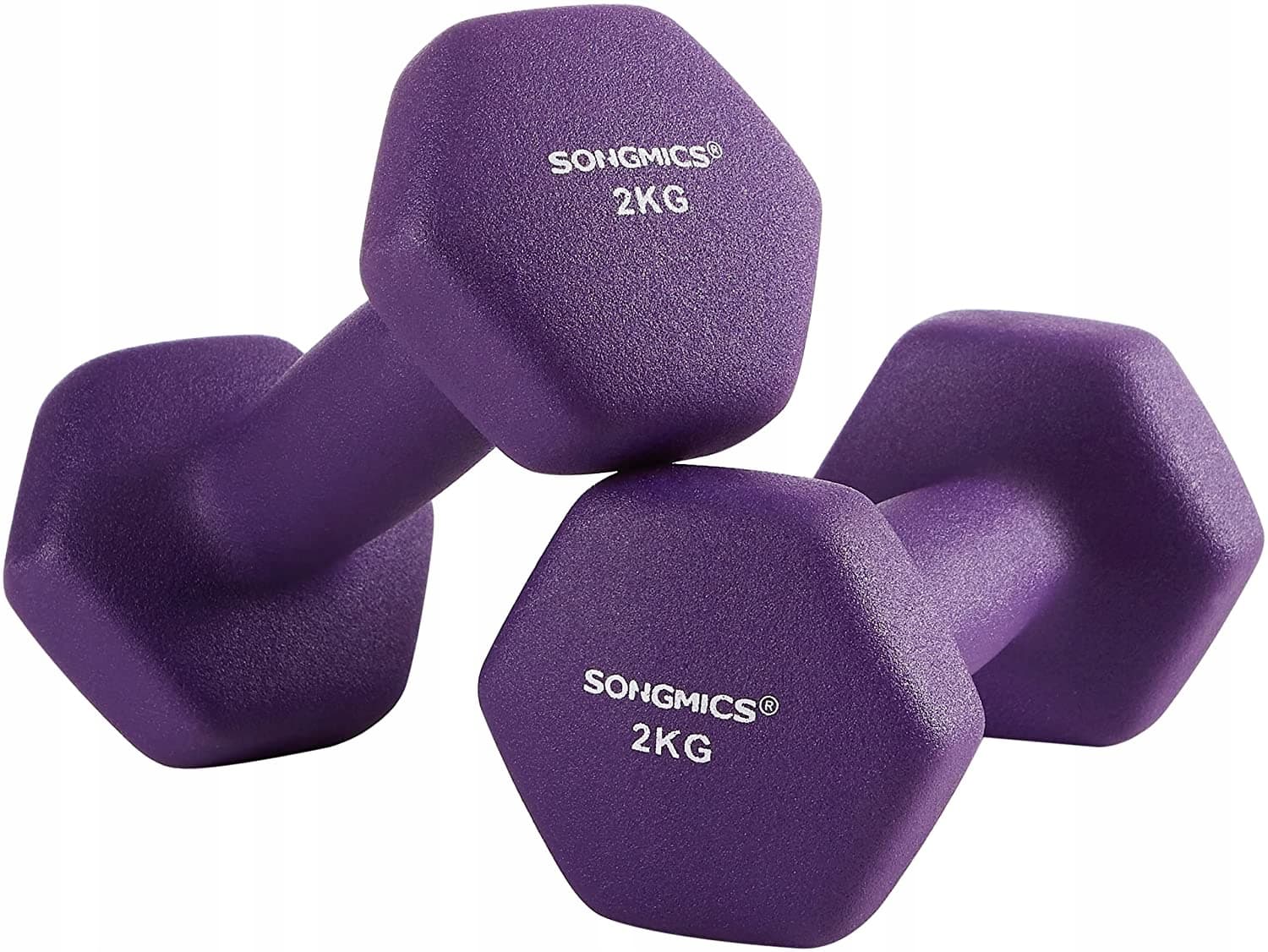 Hantle winylowe Songmics 2x 2 kg 2 szt.